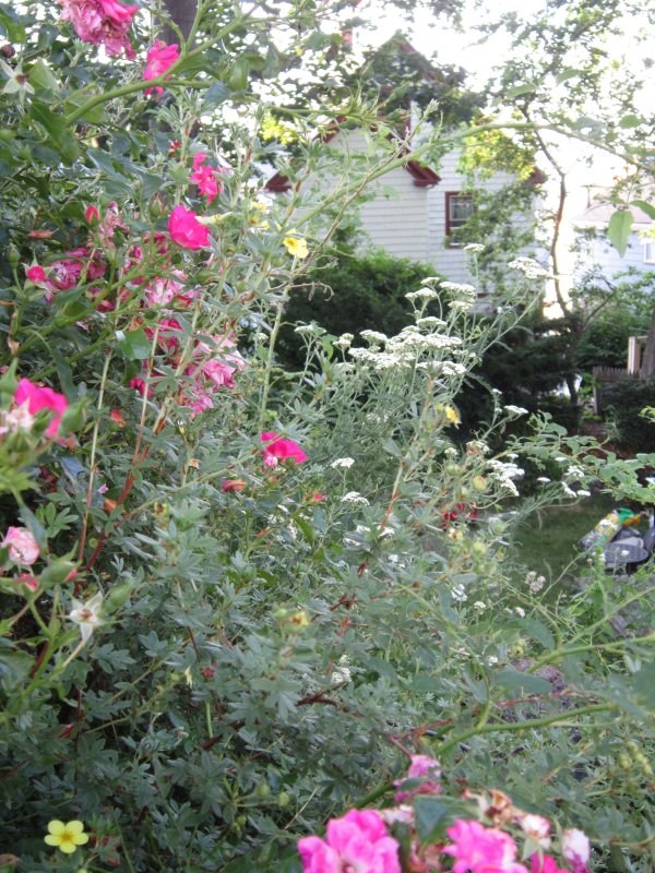 IMG_2648.JPG