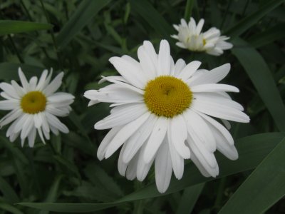 IMG_1599.JPG