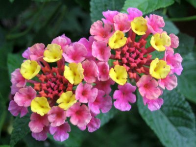 IMG_1688.jpg