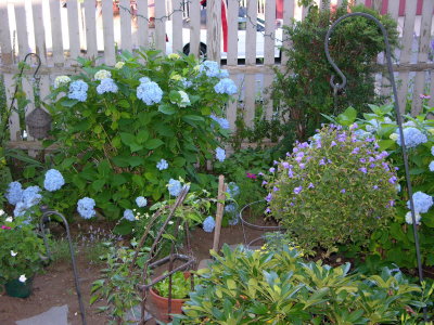 DSCN5499.jpg