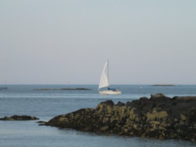 IMG_1793_1.JPG