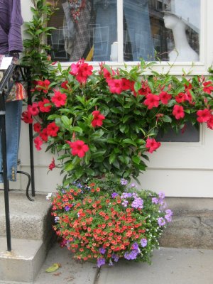 IMG_1897.JPG