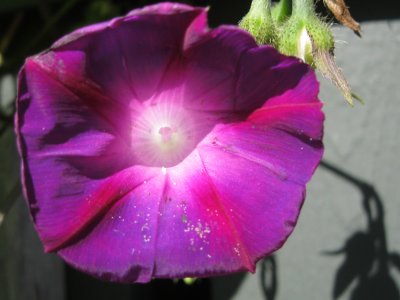 IMG_2253.JPG