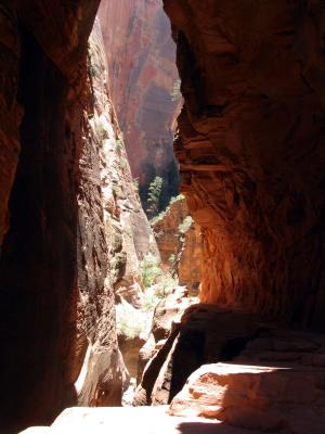 another view.jpg