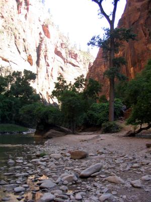 canyon floor.jpg
