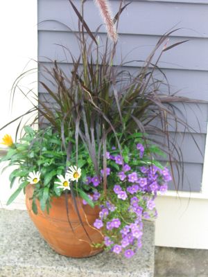 a little pot