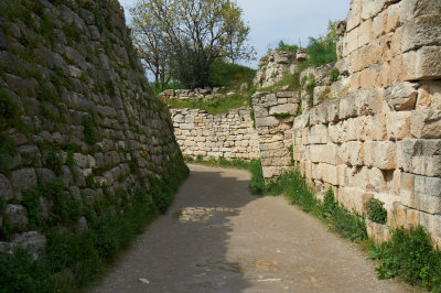 DSC_7287.jpg
