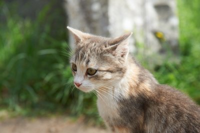 DSC_7296.jpg
