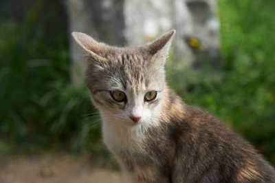 DSC_7297.jpg