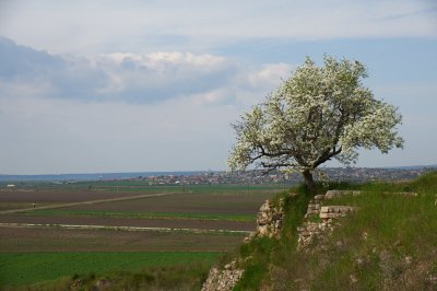DSC_7301.jpg