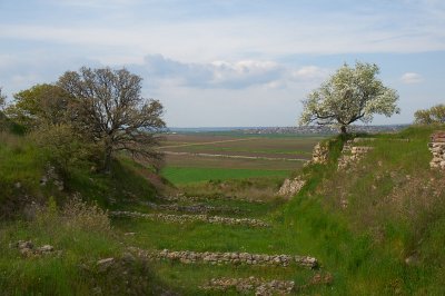 DSC_7302.jpg