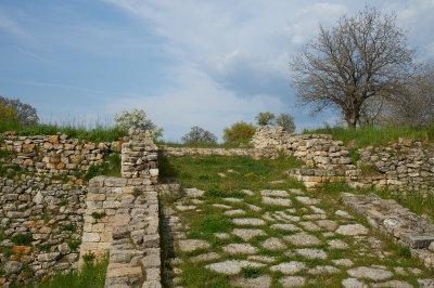 DSC_7308.jpg