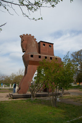 DSC_7313.jpg