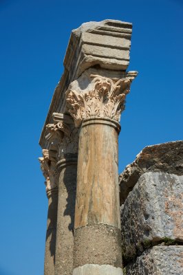 DSC_7532.jpg