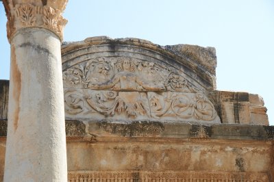 DSC_7533.jpg