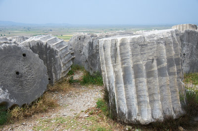 DSC_7929.jpg