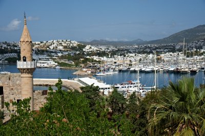 DSC_8094.jpg