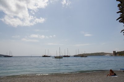 DSC_8115.jpg