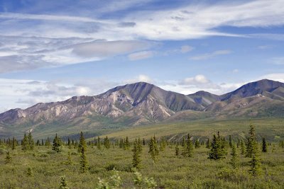 Denali landscape