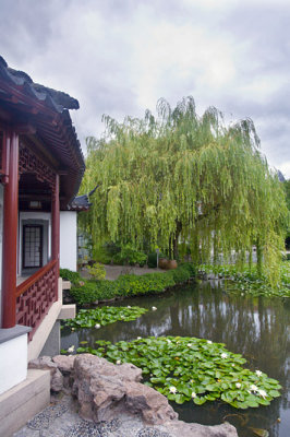 Chinese garden