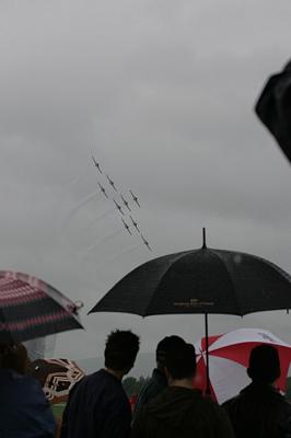 JJ2M6646.JPG