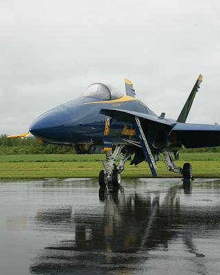 JJ2M7197.JPG