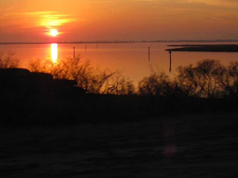 IMG_0179.jpg