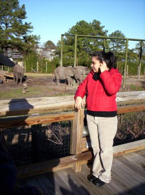 Leslie observando los elefante y tratando de calentarse las orejas