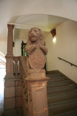 IMG_1126.jpg