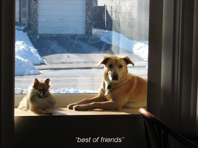 COCO & SAM - BEST OF FRIENDS