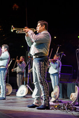 Mariachi Los Camperos -12.jpg