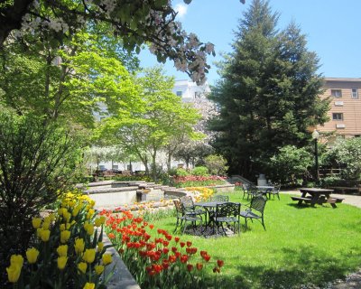 4 park.jpg
