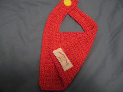 tag on bib.JPG
