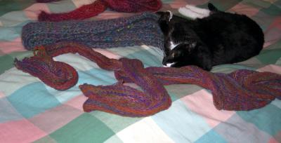 Kippy and scarves