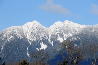 D3S_1307.JPG
