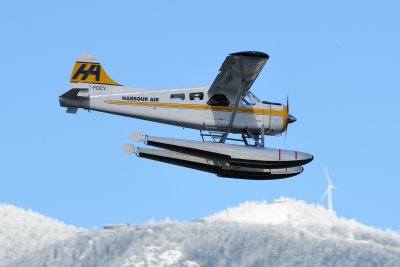 D3S_1357.JPG