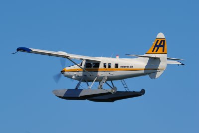 D3S_1549.JPG
