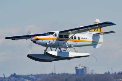 D3S_1563.JPG