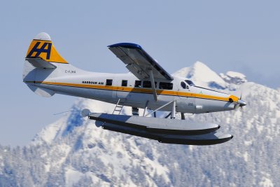D3S_1587.JPG