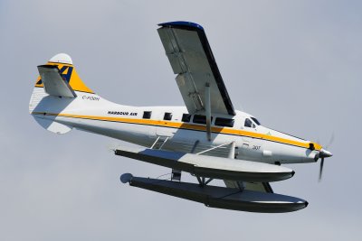 D3S_1681 copy.JPG