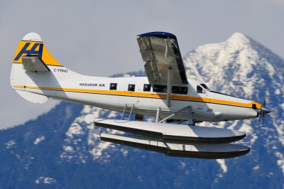 D3S_1858.JPG