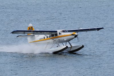 D3S_1959.JPG