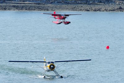 D3S_2050.JPG