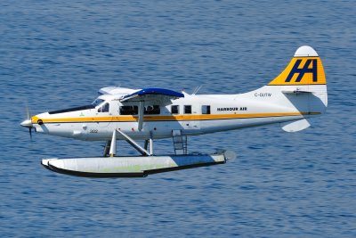 D3S_2377.JPG