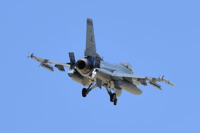 _D3S3091.JPG
