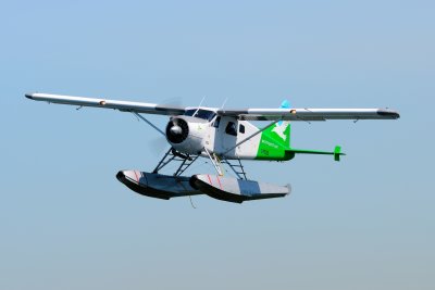 D70_0128.JPG