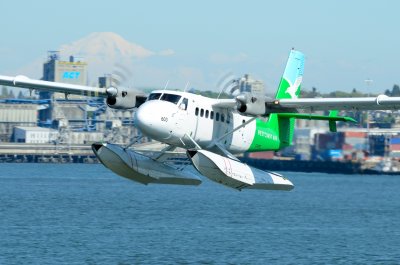 D70_0430.JPG