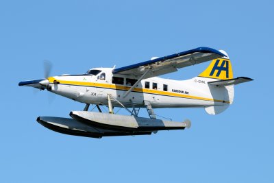D70_0447.JPG