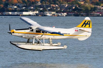 D30_0123.JPG