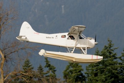 D30_0570.JPG